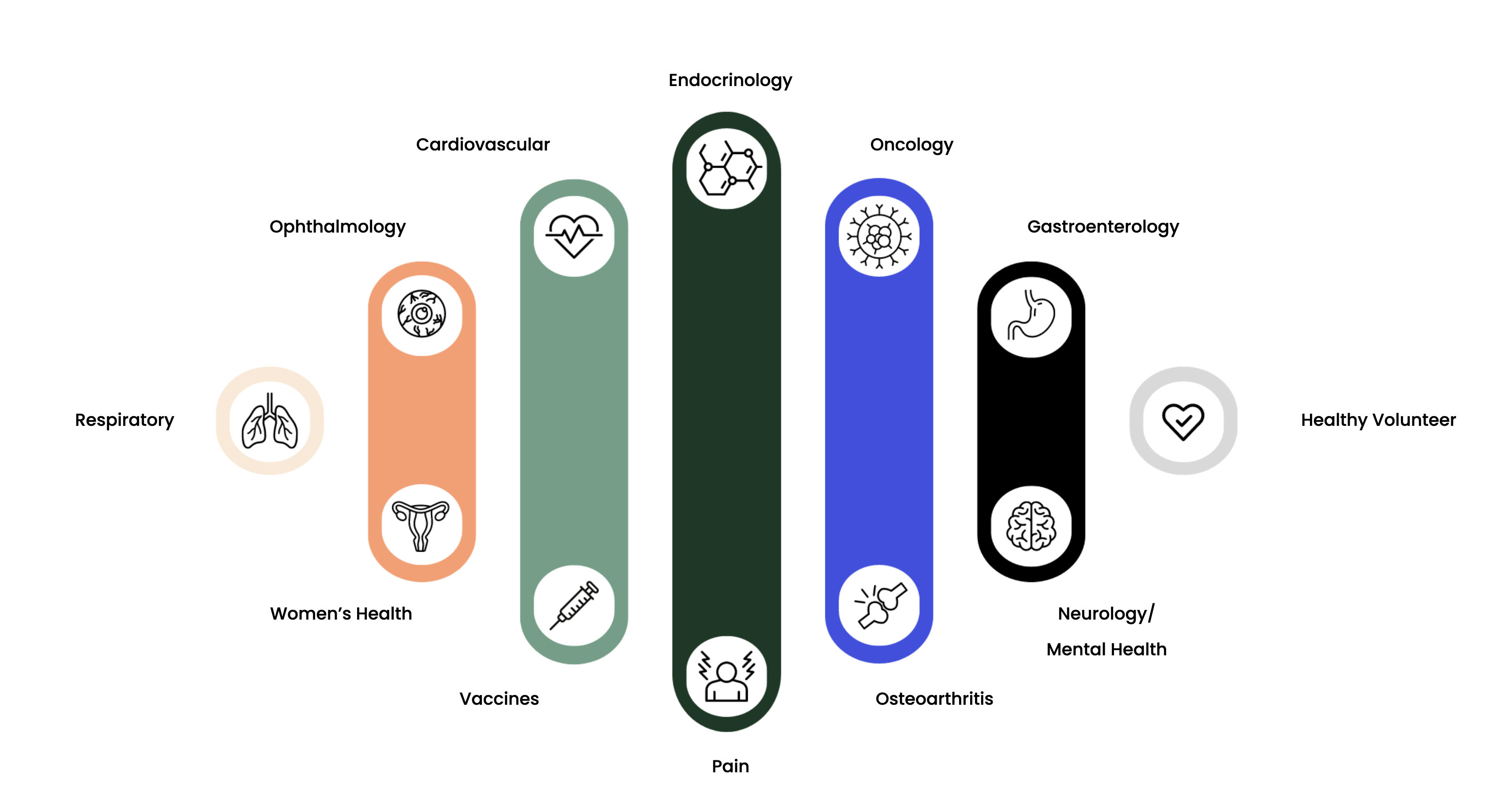 Overview of therapeutic areas